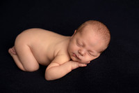 Brody Newborn